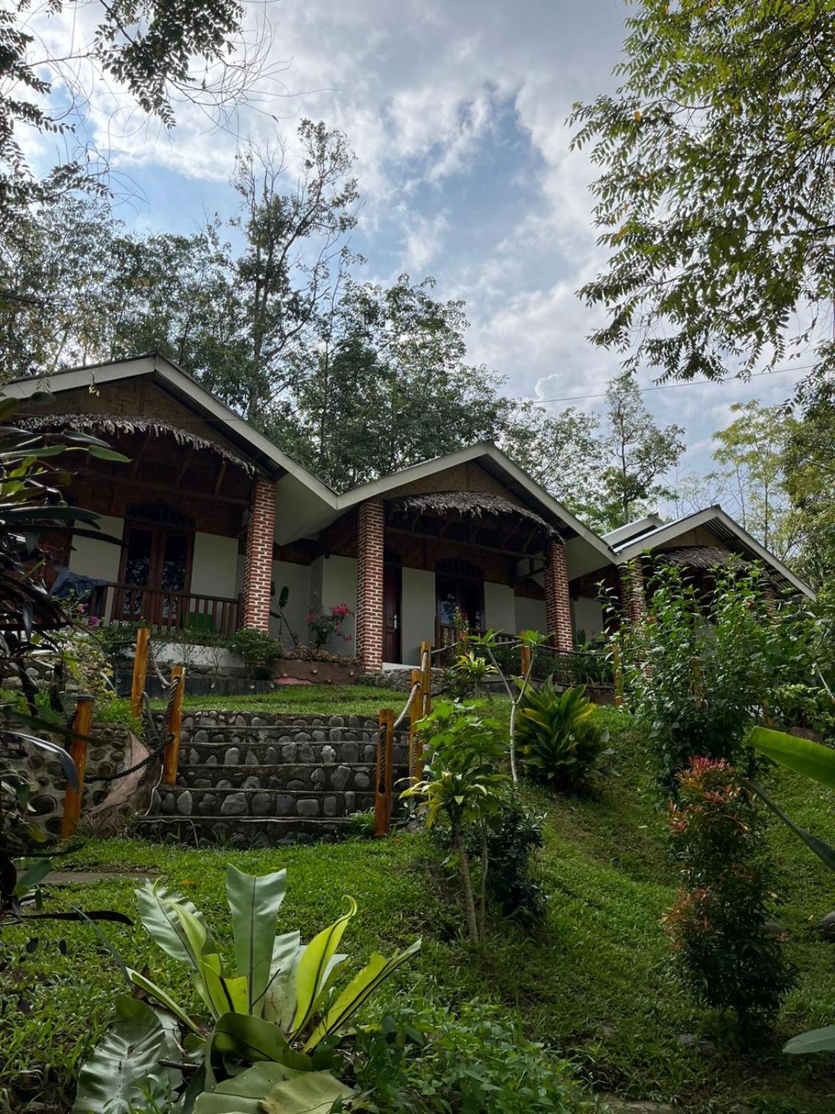 בוקיט לוואנג Asim Paris Guesthouse & Jungle Trekking מראה חיצוני תמונה