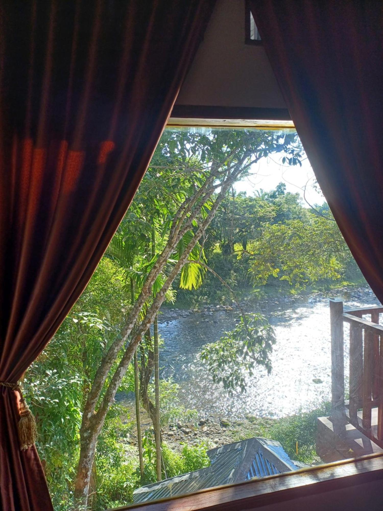 בוקיט לוואנג Asim Paris Guesthouse & Jungle Trekking מראה חיצוני תמונה